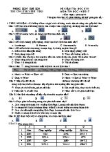 Đề kiểm tra học kỳ II môn Tin học Lớp 7 - Năm học 2018-2019 - Trường THCS Phú Thọ (Có đáp án)